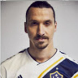 Meet your Posher, Golden